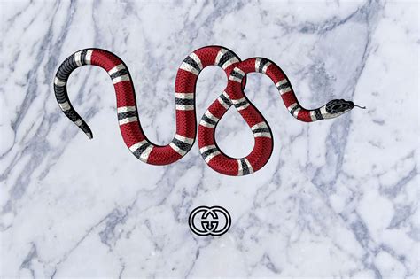 Gucci snake designs